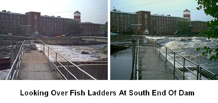 Normal and Flooded Fish Ladder