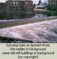 Photo of Ipswich Mills Dam on Ipswich River